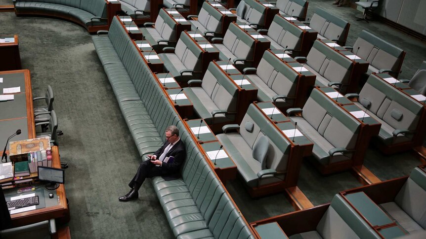 Christopher Pyne in Parliament