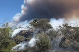 A large plume of smoke coming from behind a small hill covered in burnt scrub.