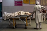 India reports record deaths