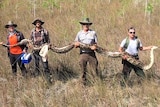 python held by group in the florida everglades