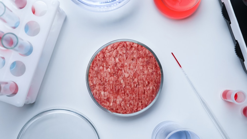 Sample of minced cultured meat on white lab table, flat lay