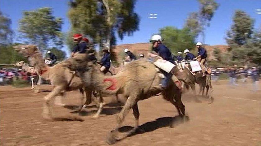Riders compete in the Camel Cup