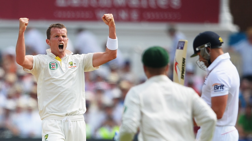 Siddle sends Prior to the sheds