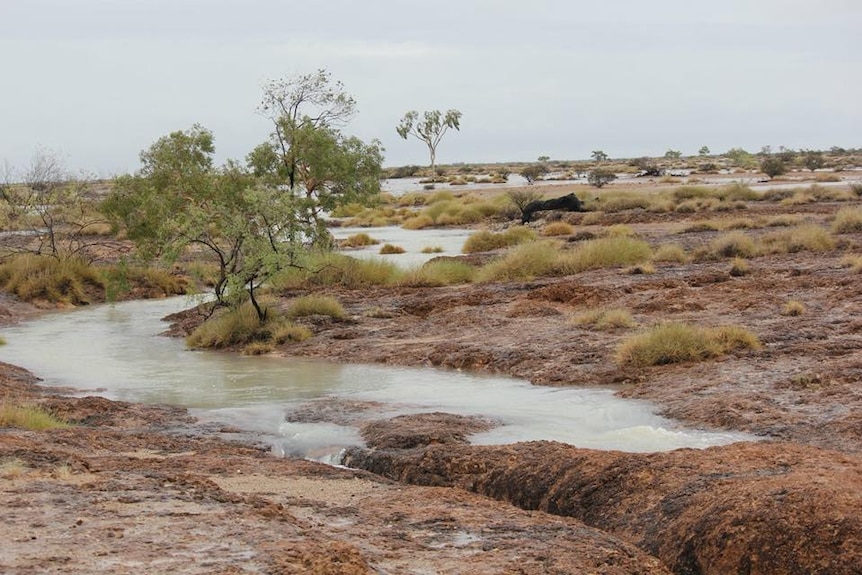 Water fills a previously dry riverbed in an arid outback landscape.