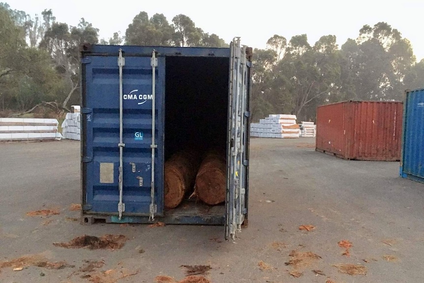 Large metal storage container holding large logs.