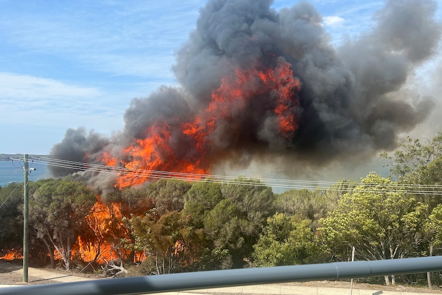 Flames and smoke in scrubland at the edge of a road.