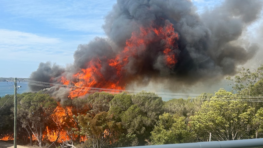 Flames and smoke in scrubland at the edge of a road.