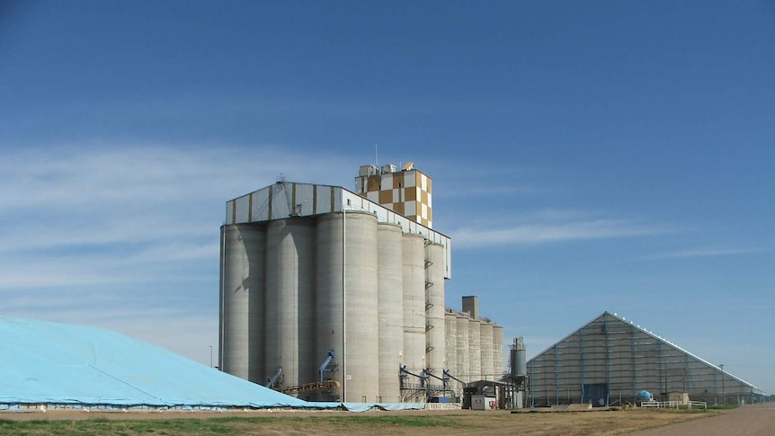 NSW Grain silos filling up after good rains