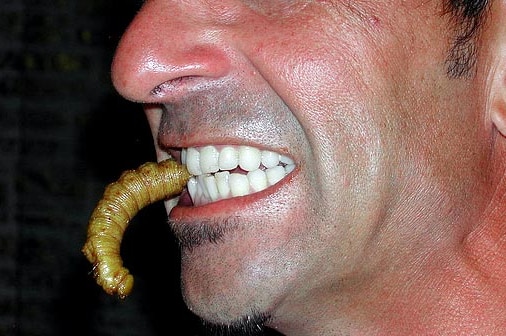A man eats a grub.