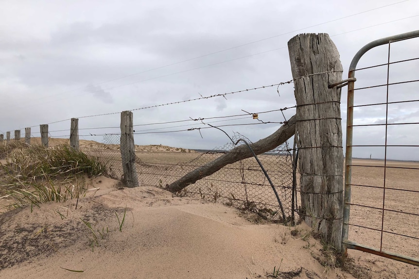 Build up of sandy top soil next to a fence line in Giffard.