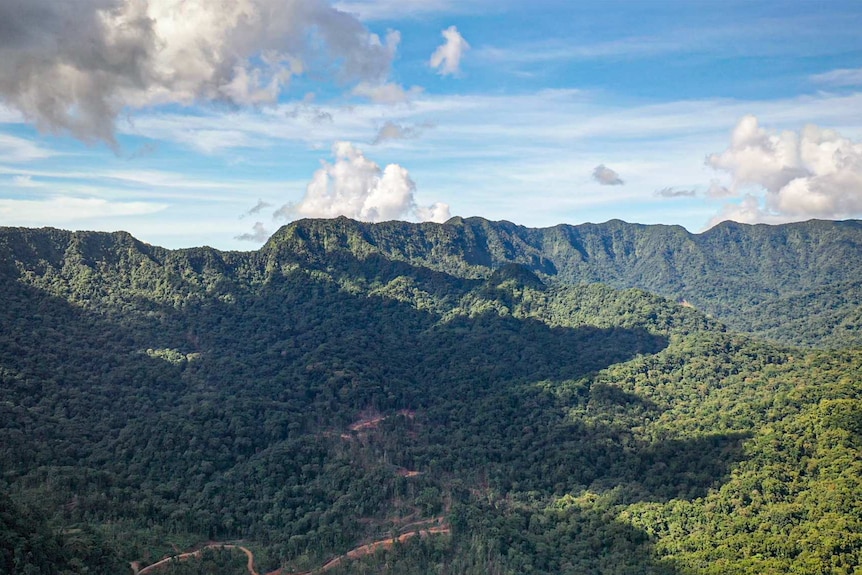 A logging road winds up the jungle covered mountains of Vangunu island in Solomon Islands into the Zaira conservation area.