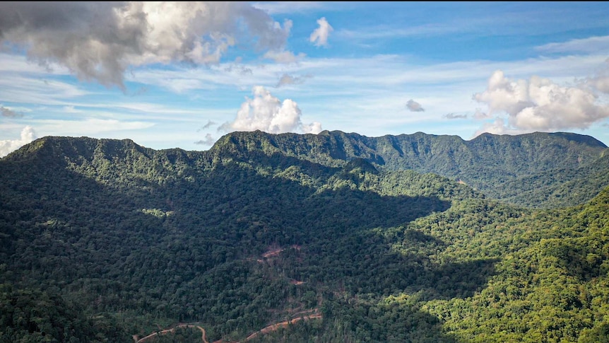 A logging road winds up the jungle covered mountains of Vangunu island in Solomon Islands into the Zaira conservation area.