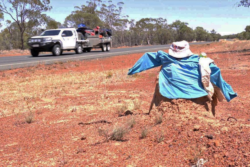 A ute passes a termite mound dressed in a blue shirt outside Jericho, outback Queensland
