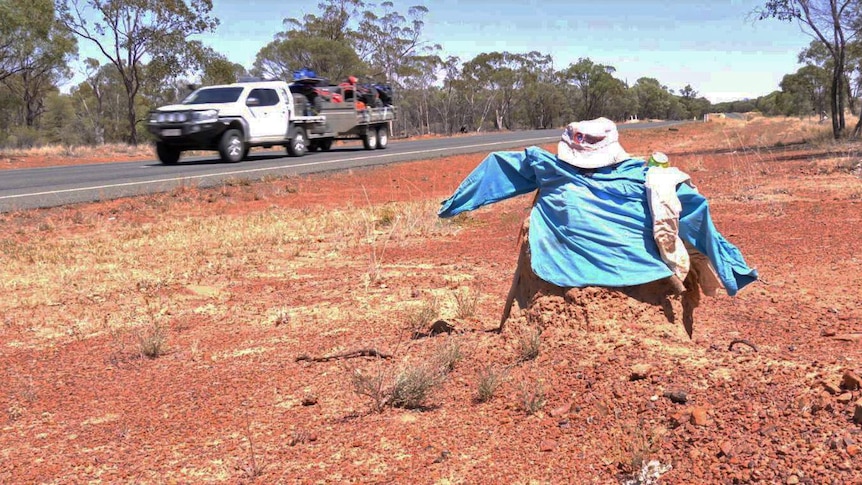 A ute passes a termite mound dressed in a blue shirt in the outback.