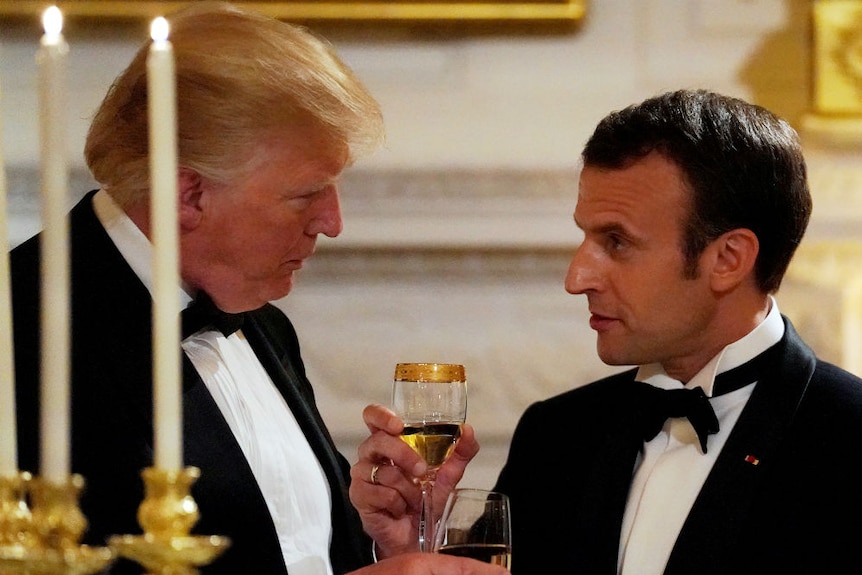 Donald Trump and Emmanuel Macron toast at state dinner