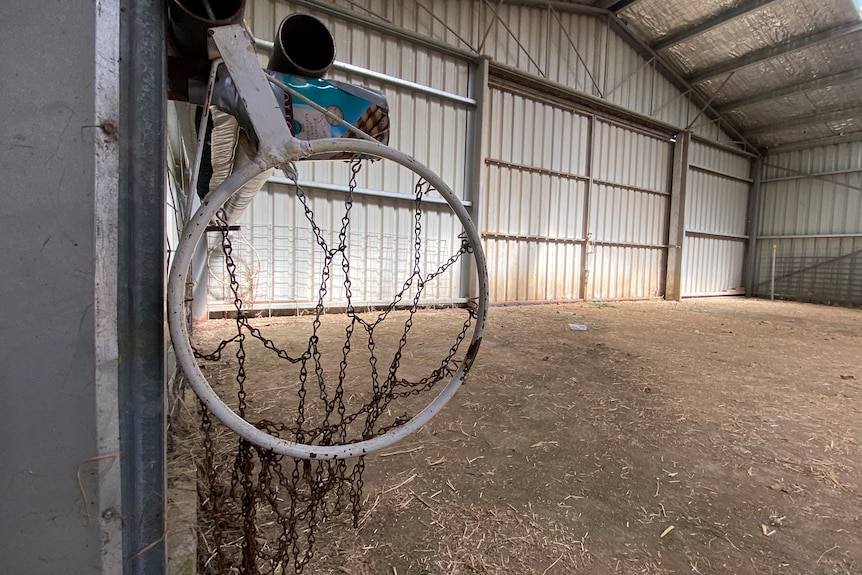 a photo of a netball ring hanging in sheep shed 