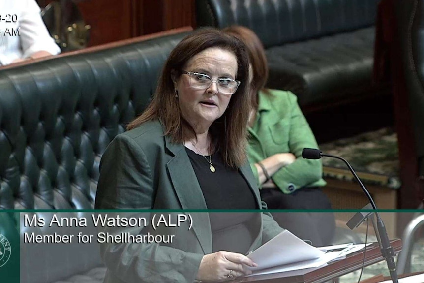 Woman standing at the NSW dispatch box in the NSW Parliament .