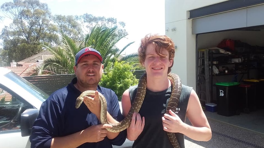 Python reunited with family in Adelaide