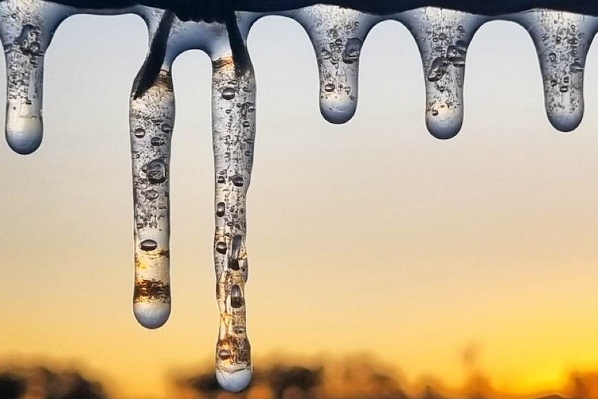 Frozen water droplets on  a fence with the sunrise in the background/