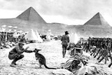 An Australian soldier plays with a kangaroo with the Pyramids in the background