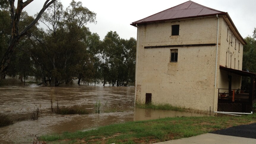 Floodwater surrounds Gundagai's old mill