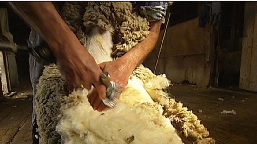 There are fears shearers will leave the industry if the award is changed.