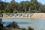 More water allocated for Murray in SA