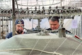 Two men can be seen standing behind a large knitting machine.