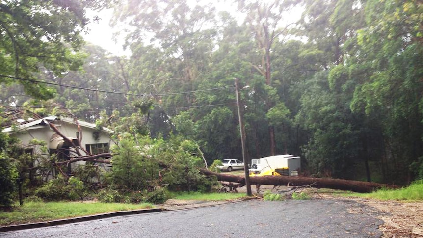 Port Macquarie flash flooding damages SES property