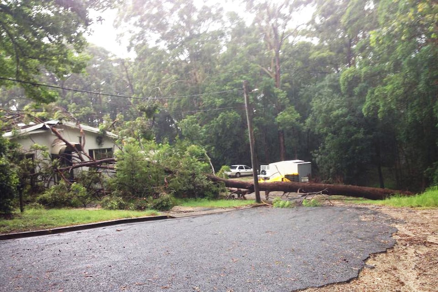 Port Macquarie flash flooding