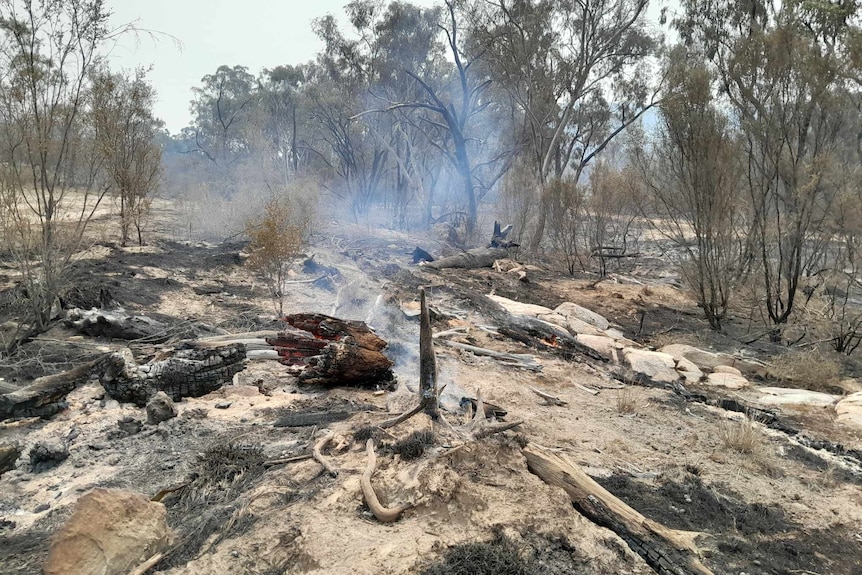 A paddock now scorched by fire, with ash and smoke.