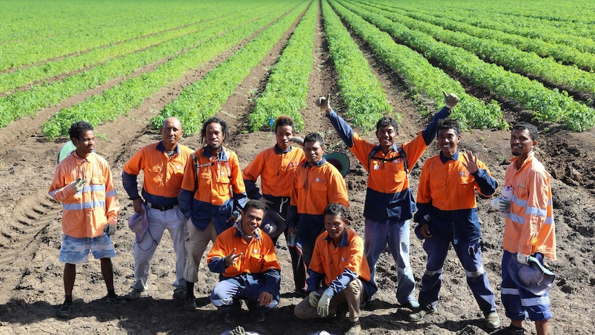 Timorese workers