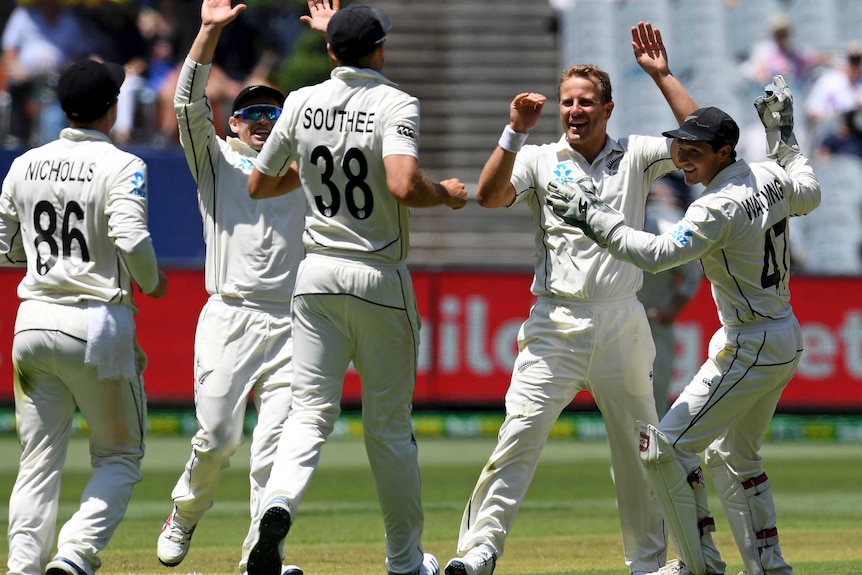 Neil Wagner hi-fives teammates as they celebrate a wicket.