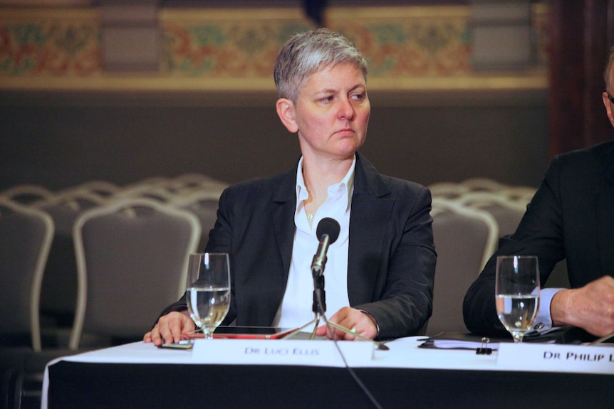 RBA assistant governor Luci Ellis at a House of  Representatives economic committee hearing in Melbourne