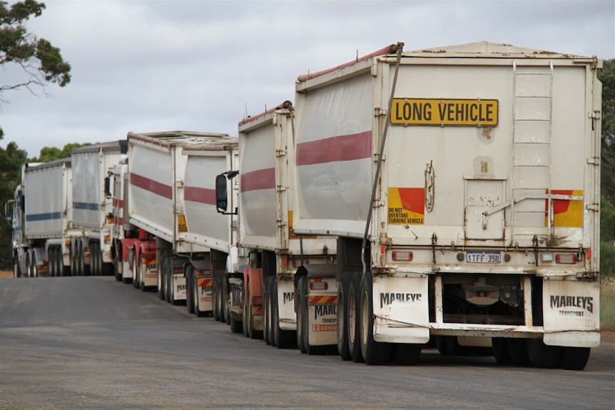 A row of road trains.