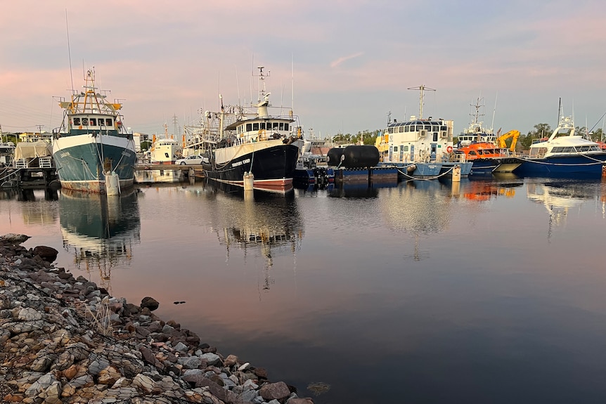 A row of commercial fishing boats docked in Frances Bay, Darwin.