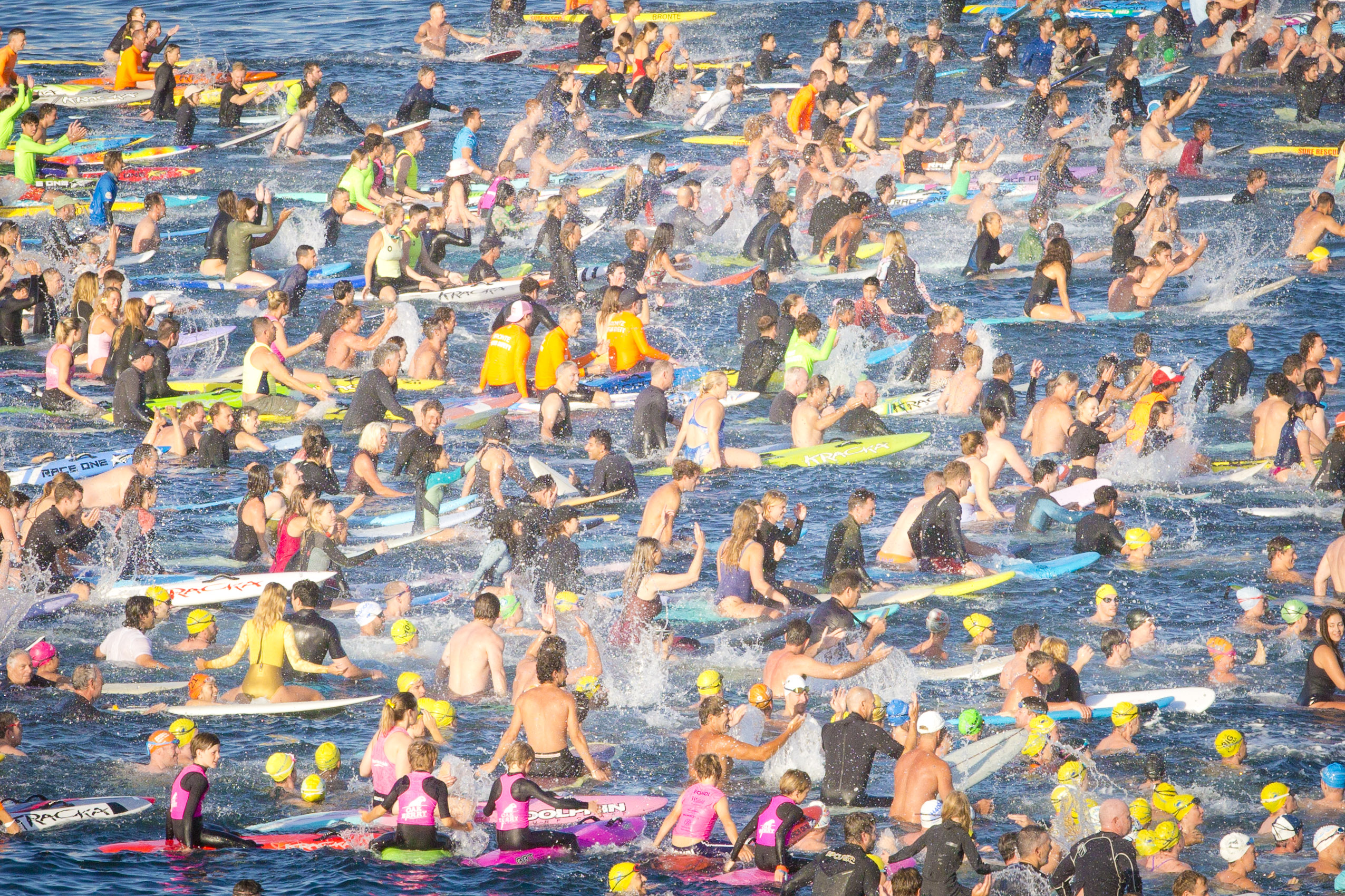 Nadadores y remeros en tablas nadan juntos en Bondi