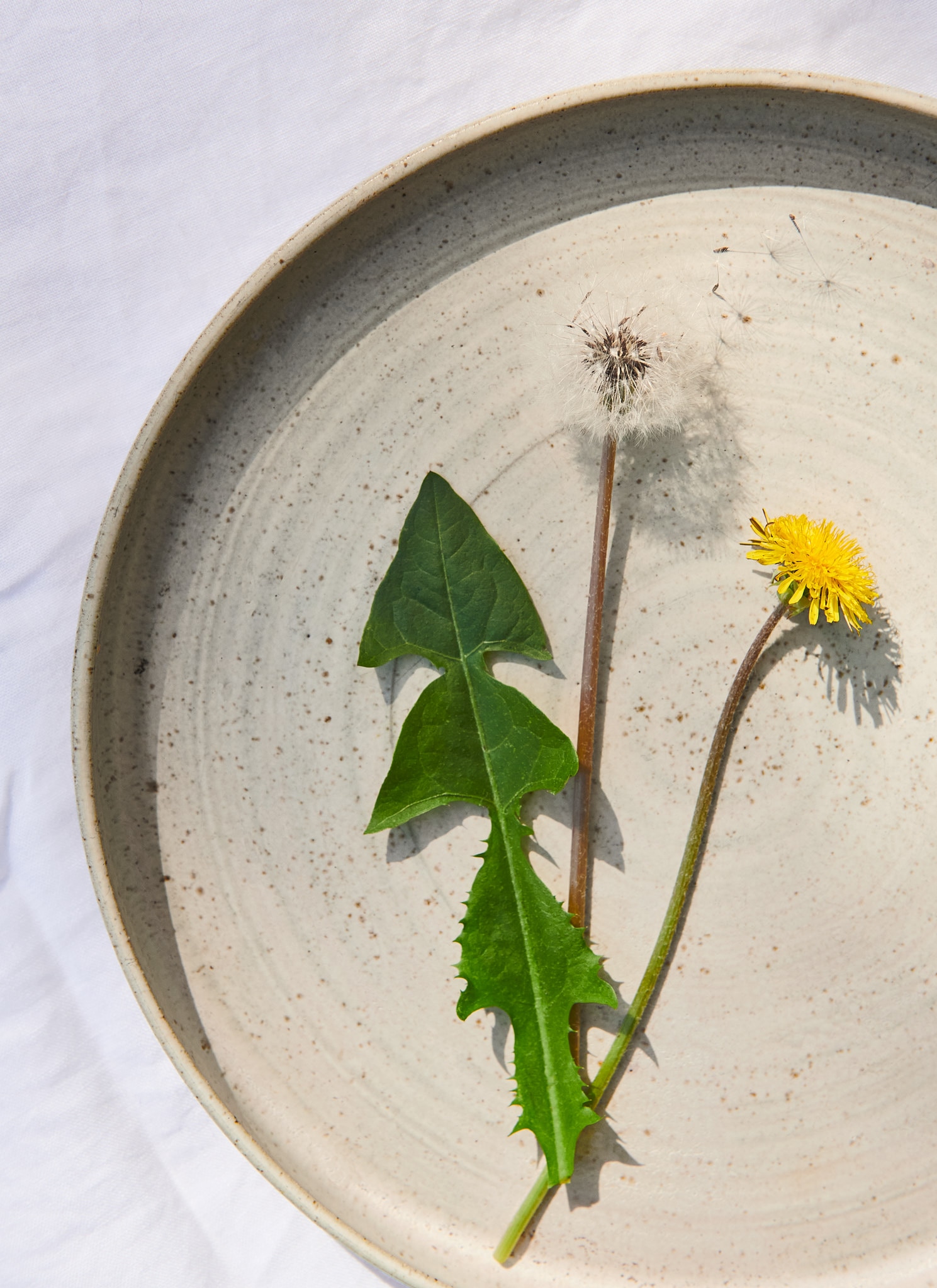 Why Diego Bonetto wants you to eat weeds