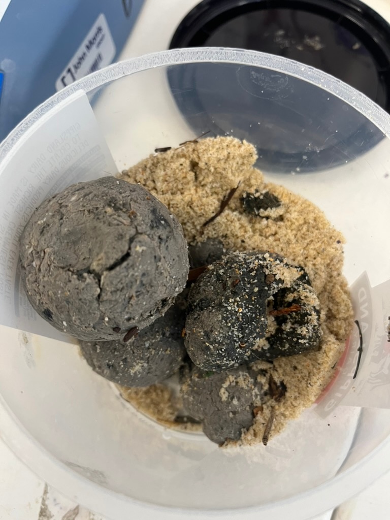 Bolas de detritos em um recipiente, provavelmente de um grande fatberg.