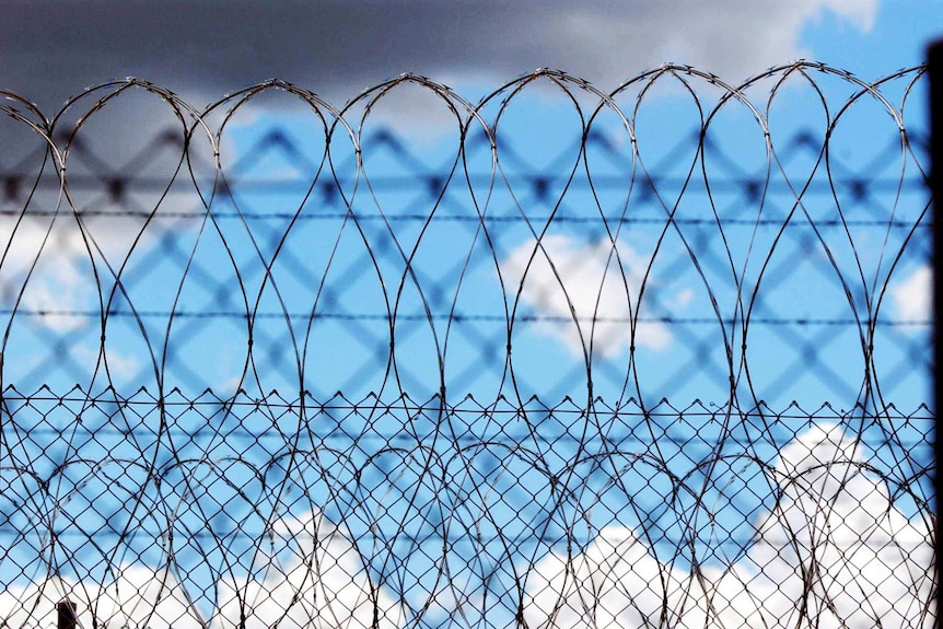 A close-up of razor wire with blue sky behind it