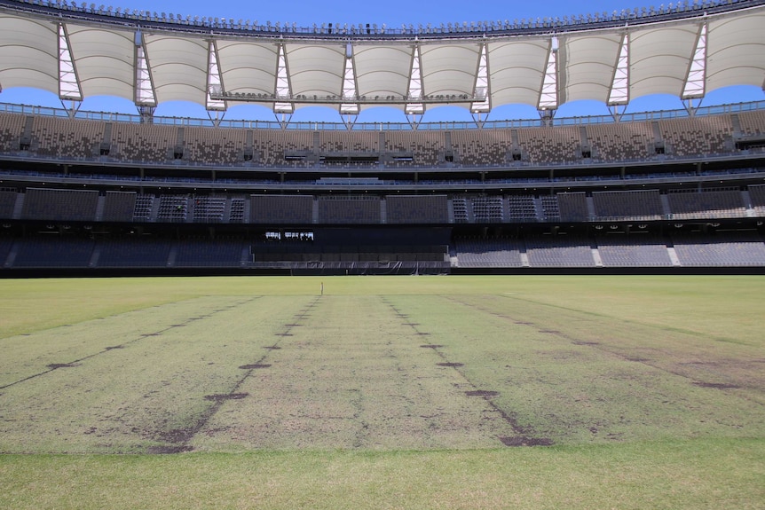 The grass surface of the new Perth Stadium with the grandstand in the background