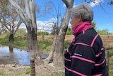 Joanne, a woman with short bouffant grey hair wears navy pink stripey polo gazes at seepage by a breached levee, gum trees 