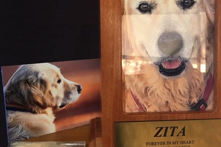 A memorial to a dog called Zita