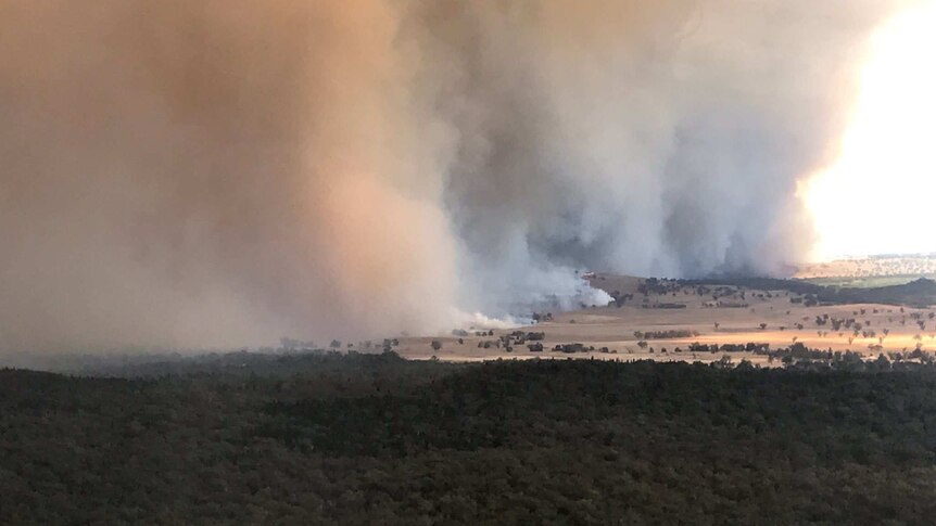 A wall of smoke covers some of the NSW countryside, east of Dunedoo.