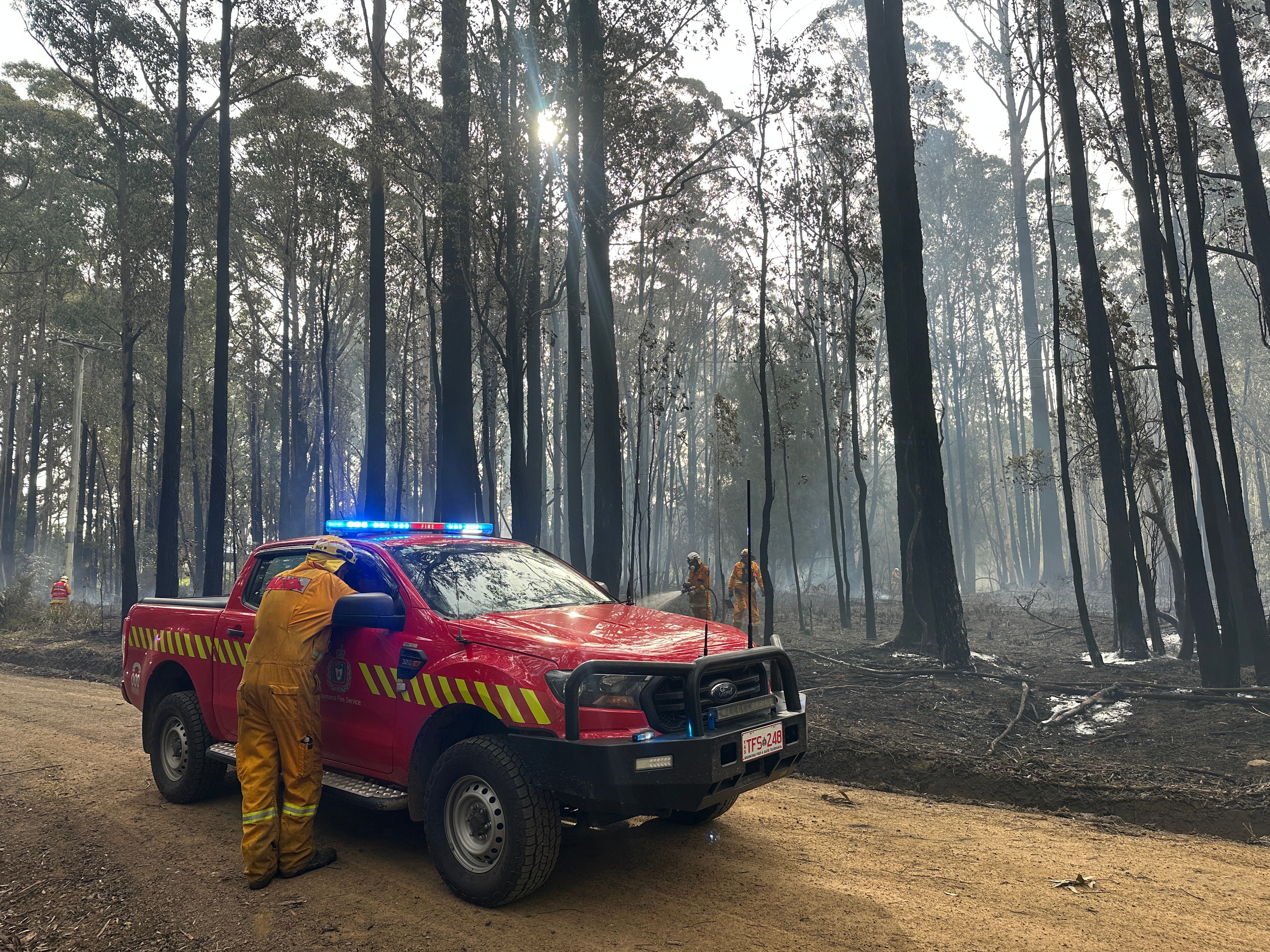 Veículo de emergência de incêndio com árvores queimadas e fumaça ao fundo.