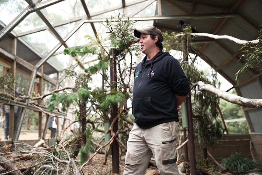 A man with dark hair stands in a bird aviary at a wildlife sanctuary