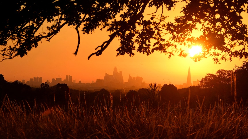 Silhouettes of buildings in London bake under a hot red sun.