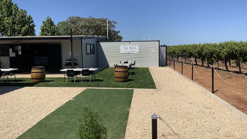 A vineyard next to tables and chairs in front of a building