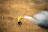 A firefighter standing on long dried out grass using a hose to extinguish a fire.