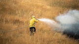 A firefighter standing on long dried out grass using a hose to extinguish a fire.